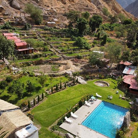 Oasis Paraiso Ecolodge 卡瓦纳科德 外观 照片