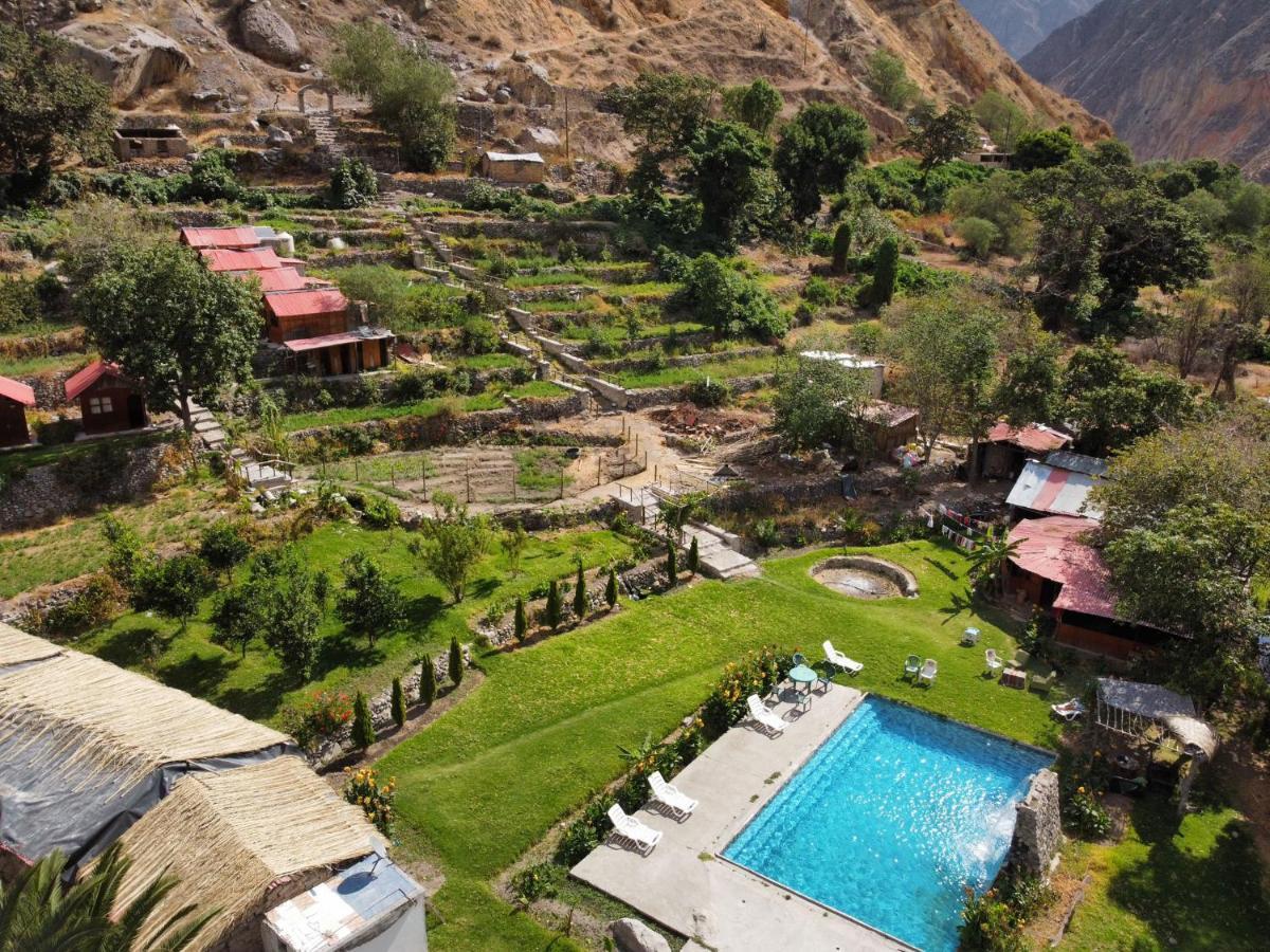 Oasis Paraiso Ecolodge 卡瓦纳科德 外观 照片