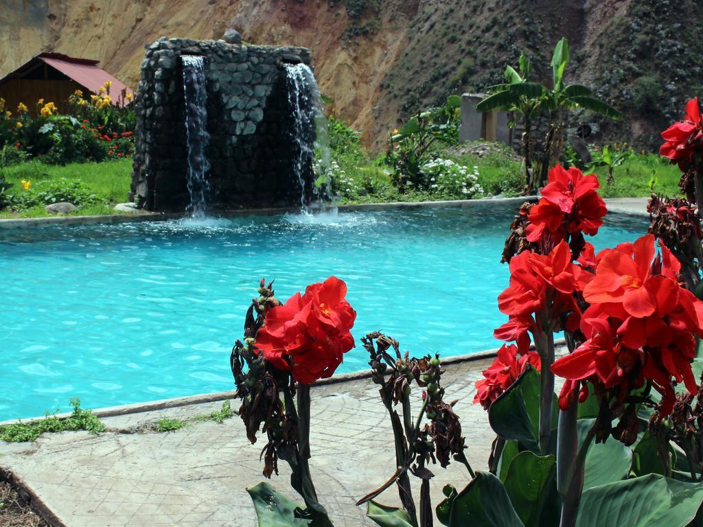 Oasis Paraiso Ecolodge 卡瓦纳科德 外观 照片