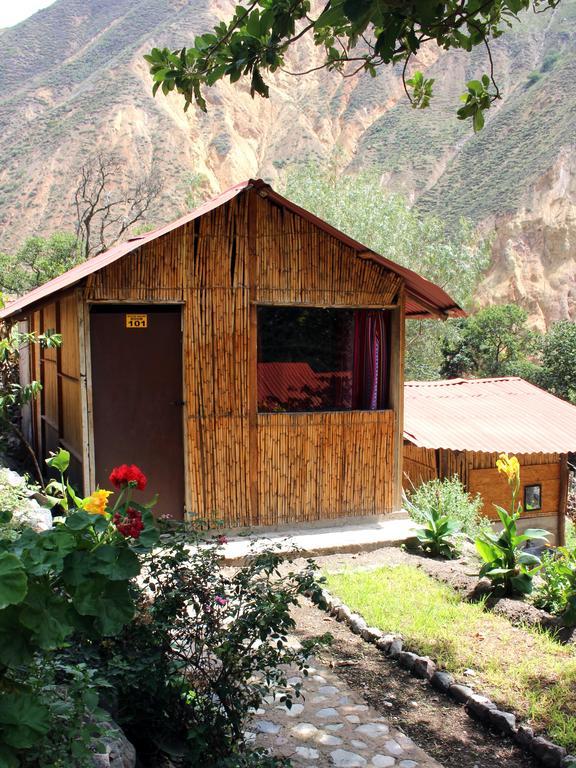 Oasis Paraiso Ecolodge 卡瓦纳科德 外观 照片