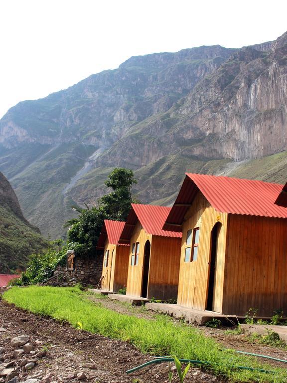 Oasis Paraiso Ecolodge 卡瓦纳科德 外观 照片