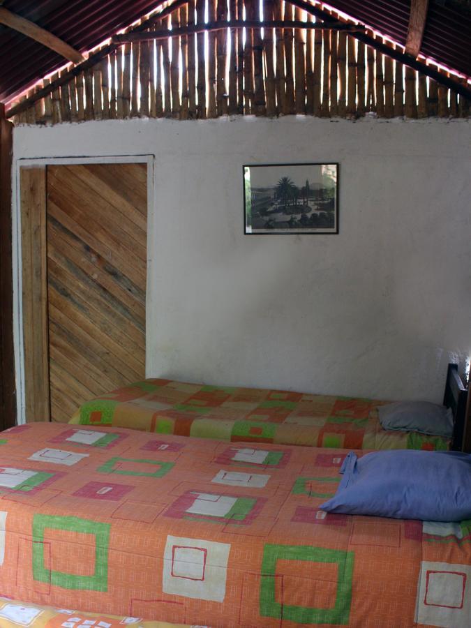 Oasis Paraiso Ecolodge 卡瓦纳科德 外观 照片