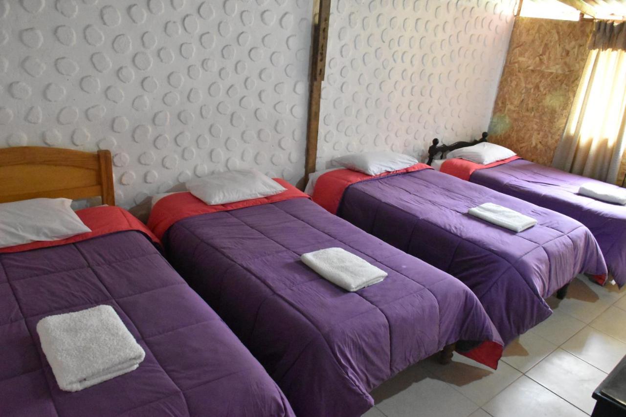 Oasis Paraiso Ecolodge 卡瓦纳科德 外观 照片