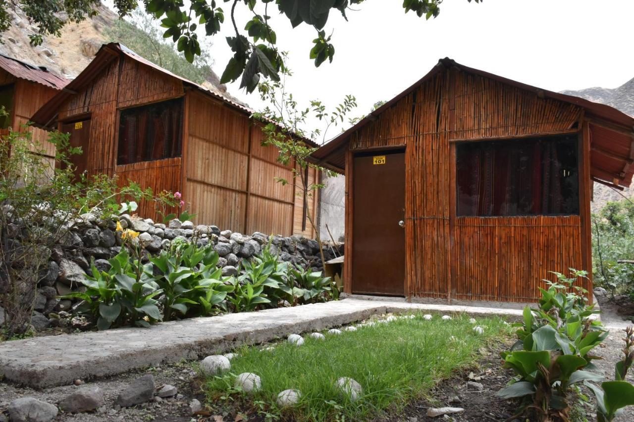 Oasis Paraiso Ecolodge 卡瓦纳科德 外观 照片